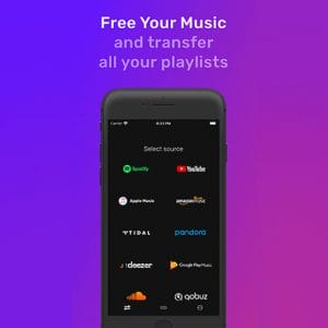 HIT1MILLION-FreeYourMusic Premium Plan: Lifetime Subscription for $39