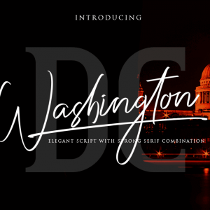 HIT1MILLION-Washington DC / Elegant Font Duo – only $5!