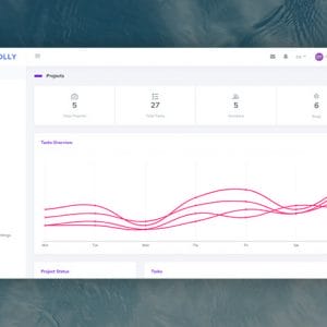 HIT1MILLION-Taskolly Project Manager: Lifetime Subscription for $39