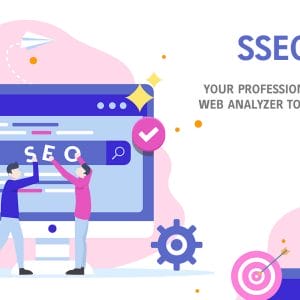 HIT1MILLION-SSEOZI: Your Professional SEO & Web Analyzer Tools with Lifetime Access – only $25!