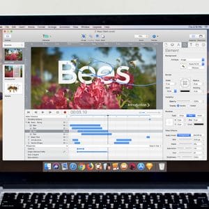 HIT1MILLION-Tumult Hype 4: Lifetime Subscription (Standard License) for $29