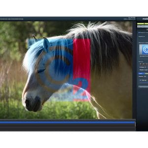 HIT1MILLION-maWatermarker App: Lifetime Subscription for $6