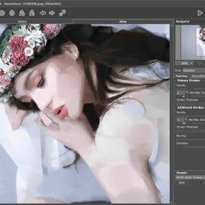 HIT1MILLION-Akvis ArtWork Painting & Drawing Effects: Lifetime License for $84