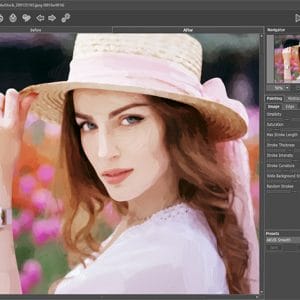 HIT1MILLION-Akvis OilPaint Software: Lifetime License for $61