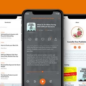 HIT1MILLION-Soundwise Sell Paid Audio Directly to Listeners: Lifetime Subscription for $39