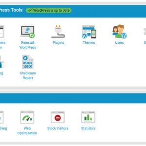 HIT1MILLION-WP Buzz Fast & Secure WordPress Hosting: Lifetime Subscription for $39
