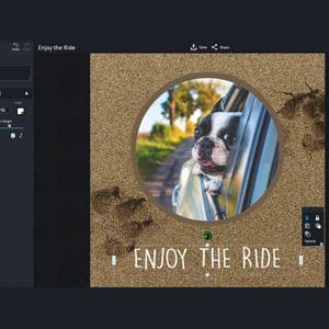 HIT1MILLION-piZap Pro: Lifetime Subscription for $39