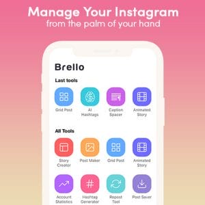 HIT1MILLION-Brello Instagram Manager: Lifetime Subscription for $49