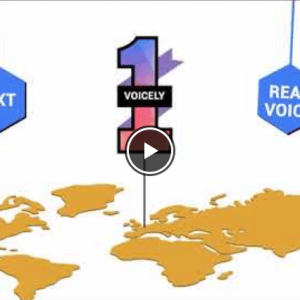 HIT1MILLION-Lifetime Deal for Voicely