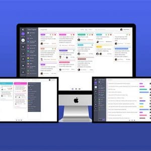 HIT1MILLION-Task Pigeon Business Plan: Lifetime Subscription for $49