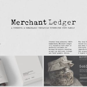 HIT1MILLION-Merchant Ledger Typewriter Family – only $5!