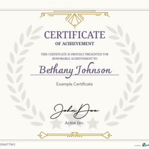 HIT1MILLION-Sertifier Lifetime Deal for $49