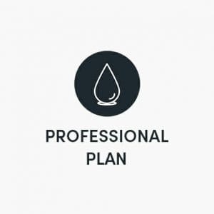HIT1MILLION-Blurweb Professional Plan: Lifetime Access for $17