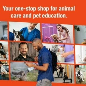 HIT1MILLION-Holly & Hugo Pet eLearning: Lifetime Subscription for $99