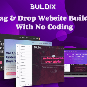 HIT1MILLION-Lifetime Access to Buldix