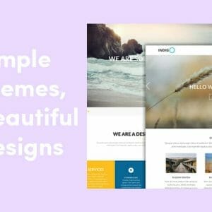 HIT1MILLION-Viva WordPress Themes: Lifetime Subscription + Updates + Support for $49