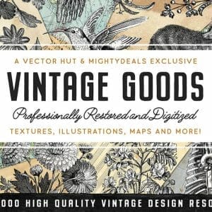 HIT1MILLION-1000+ Vintage Illustrations