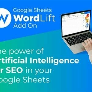 HIT1MILLION-WordLift SEO Tool for Google Sheets: Lifetime Subscription for $49