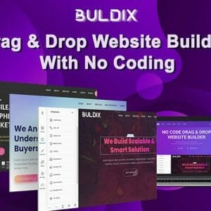 HIT1MILLION-Buldix Pro: Lifetime Subscription for $59