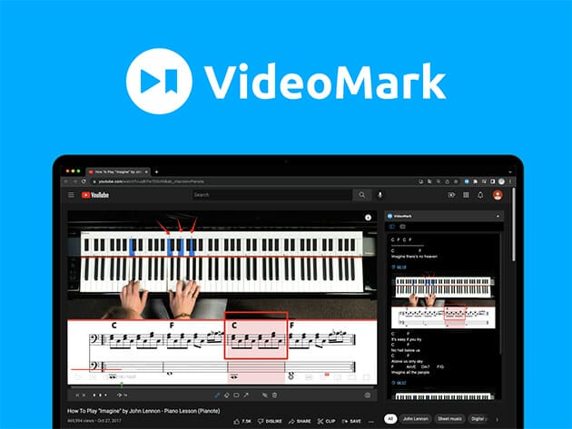 HIT1MILLION-VideoMark Video Notes: Lifetime Subscription for $29