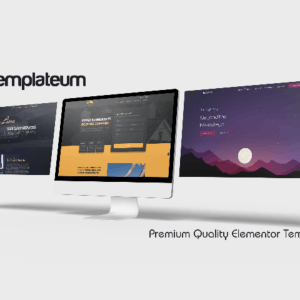 HIT1MILLION-Lifetime Deal to Templateum: Plan for $69