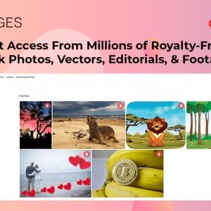 HIT1MILLION-Lifetime Deal to YayImages: Plan B (Yearly Deal) for $79