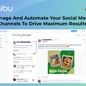 HIT1MILLION-Lifetime Deal to SocialBu: Plan C (Supreme) for $249