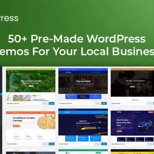 HIT1MILLION-Lifetime Deal to LocalPress: Plan A. for $49