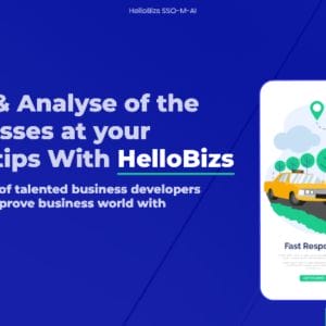 HIT1MILLION-Lifetime Deal to HelloBizs: Business Plan for $88