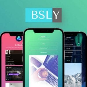 HIT1MILLION-Lifetime Deal to BSLY – Bio Links