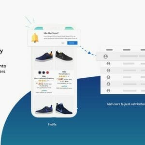 HIT1MILLION-Feedify Push Notification Tool: Lifetime Subscription for $69