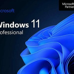 HIT1MILLION-The Ultimate Microsoft Office Pro 2021 for Windows + Windows 11 Pro & Degoo Premium: Lifetime 1TB Backup Plan for $79