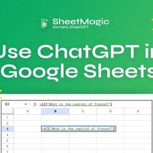 HIT1MILLION-SheetMagic Single User Plan: Lifetime Subscription for $48