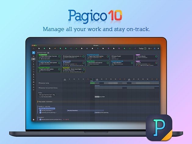HIT1MILLION-Pagico 10: Permanent Lifetime License for $29