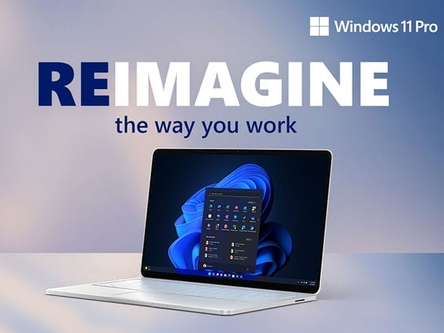 HIT1MILLION-The All-in-One Microsoft Office Pro 2019 for Windows: Lifetime License + Windows 11 Pro Bundle for $45