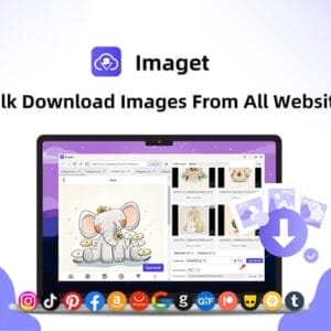 HIT1MILLION-Imaget Bulk Image Downloader for Desktop Only: Lifetime Plan for $24
