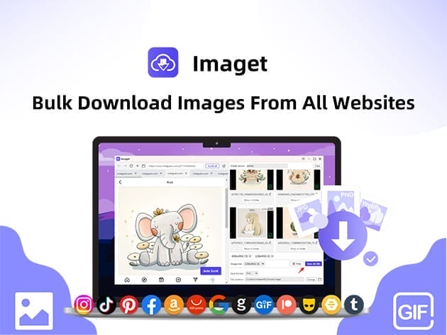 HIT1MILLION-Imaget Bulk Image Downloader for Desktop Only: Lifetime Plan for $24