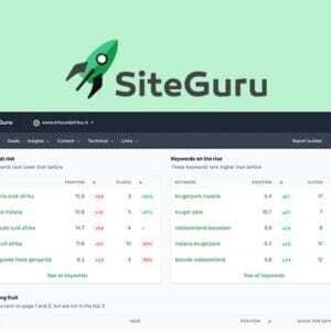 HIT1MILLION-SiteGuru SEO Specialist: Lifetime Subscription for $69