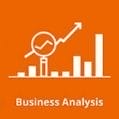 Business Analysis