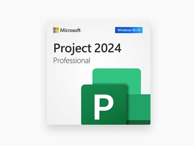 HIT1MILLION-Microsoft Project Professional 2024: Lifetime License for Windows for $79