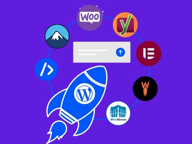 HIT1MILLION-WPHoster – Managed WordPress Lifetime Hosting (Starter Plan) for $39