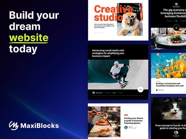 HIT1MILLION-MaxiBlocks No-Code Webpage Builder: Pro Plan Lifetime Subscription (3 Licenses) for $59