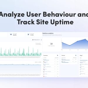 HIT1MILLION-Webilytics Site Monitoring & User Analytics: Lifetime Subscription for $29