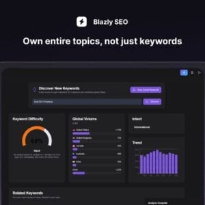 HIT1MILLION-Blazly SEO: Lifetime Subscription for $59