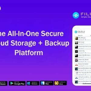 HIT1MILLION-FileLu Cloud Storage Premium Plan: Lifetime Subscription for $149
